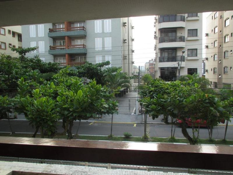 Enseada -brunella